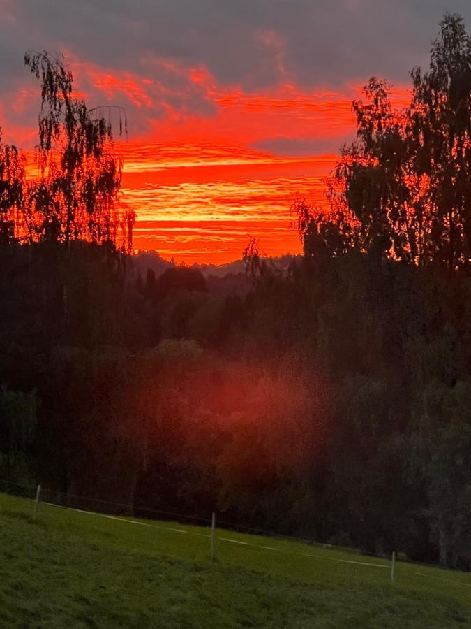 Schoenenbueel Teufen Exteriör bild